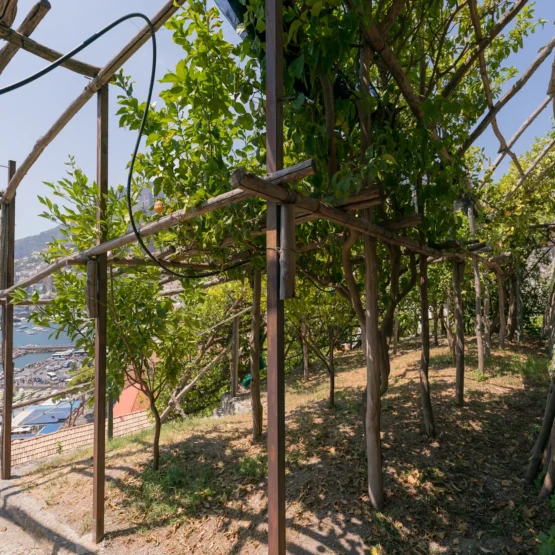 Visita libera al Monumental Garden + Aperitivo