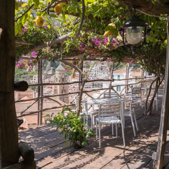 Monumental Garden Tour + Aperitivo