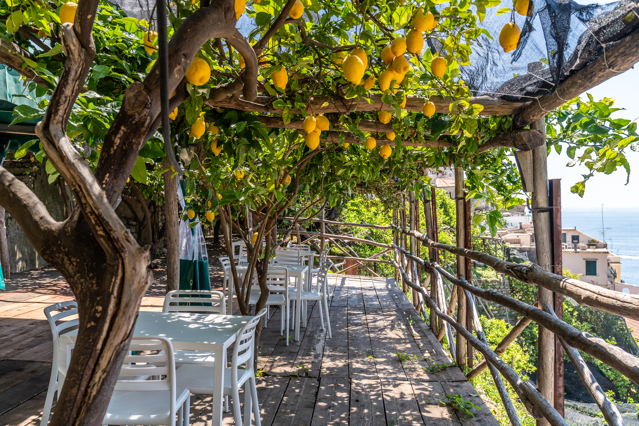 Monumental Garden Tour + Aperitivo - immagine 5